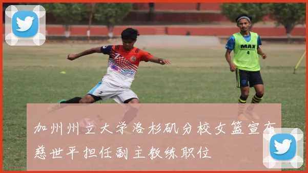 加州州立大学洛杉矶分校女篮宣布慈世平担任副主教练职位